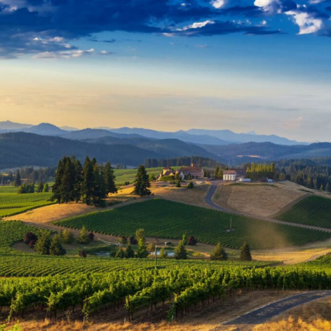 Eugene King Estate Winery