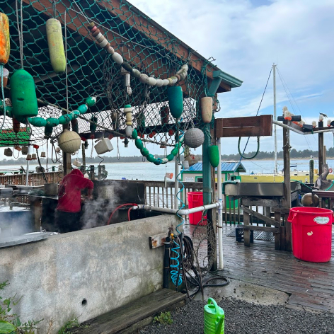 Manzanita Kellys Brighton Marina