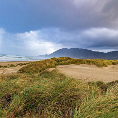 Manzanita Nehalem Bay State Park