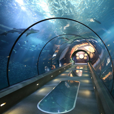 Newport Oregon Coast Aquarium