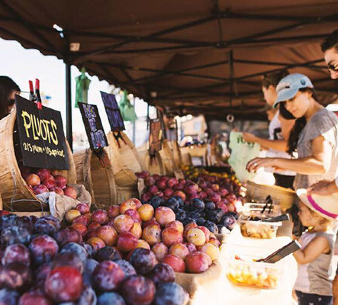 Newport Summer Farmers Market