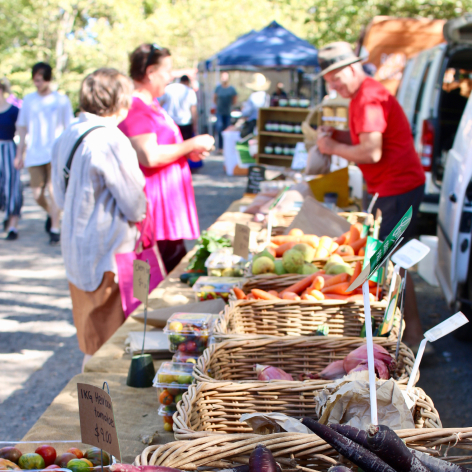 Pensacola Activities Palafox