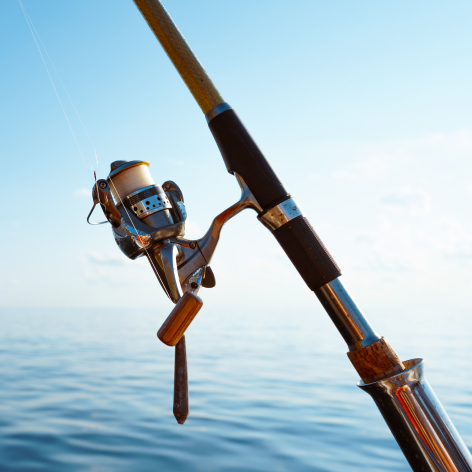 Pensacola Services Reel Way