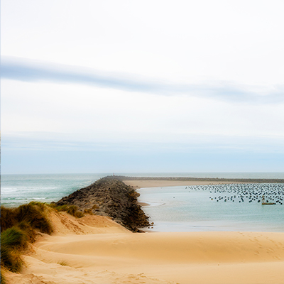 OR Reedsport Thumbnail 400px