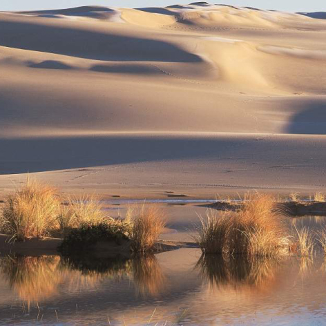 Reedsport Oregon Dunes National Recreation Area