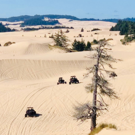 Reedsport Sand Dune ATV Tours