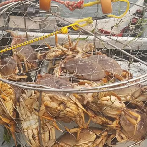 Reedsport Winchester Bay Crabbing and Fishing