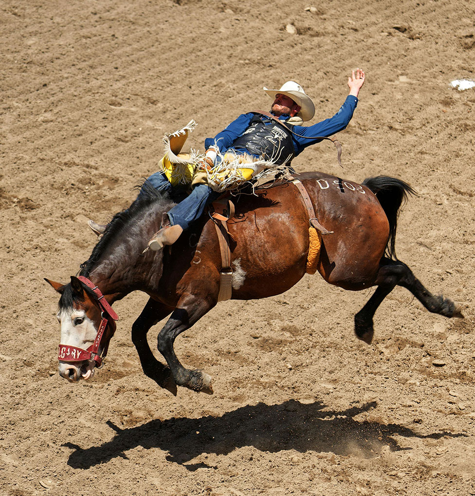 SLC rodeo