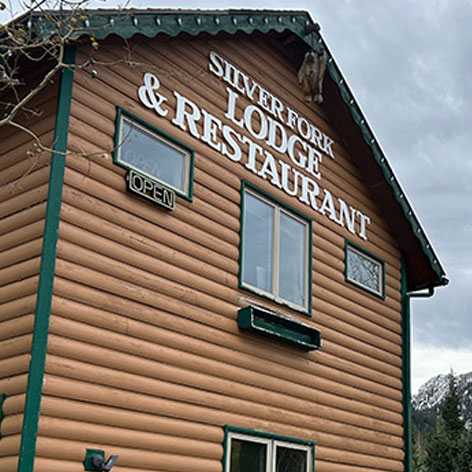 SLC silverfork