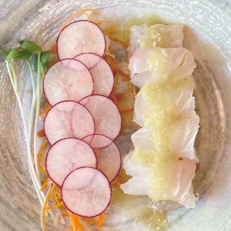 SLC takashi