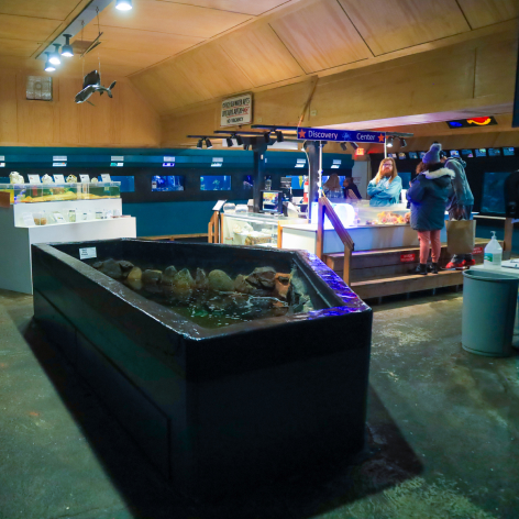 Seaside Aquarium