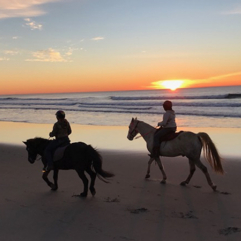 Seaside Oregon Beach Rides
