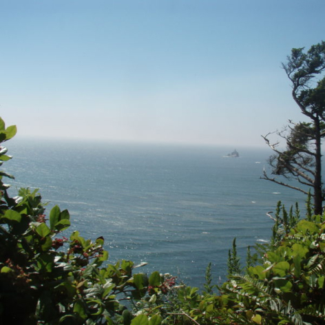 Seaside Tillamook Head Hike