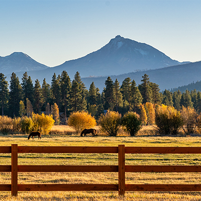 OR Sisters Thumbnail 400px