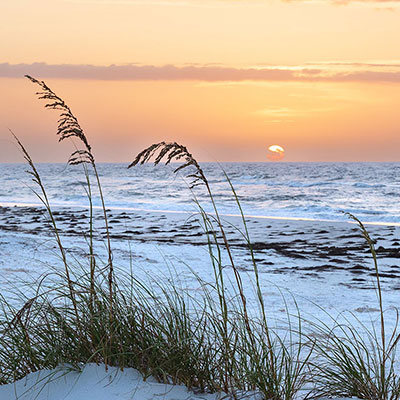 FL St George Thumbnail 400px