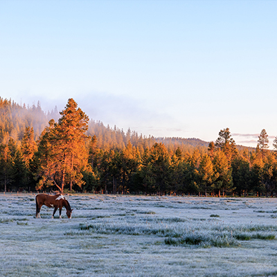 OR Sunriver Thumbnail 400px