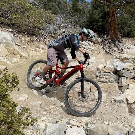 Truckee Bike