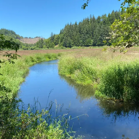Waldport Beaver Creek