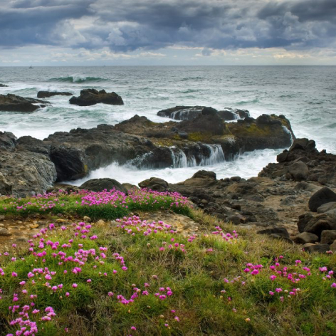 Waldport Smelt Sands State Recreation Site