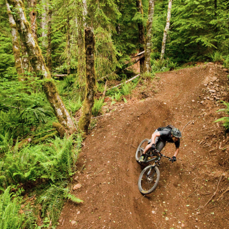 Welches Mt Hood Bicycle
