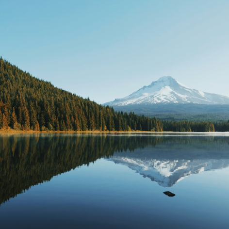 Welches Mt Hood National Forest