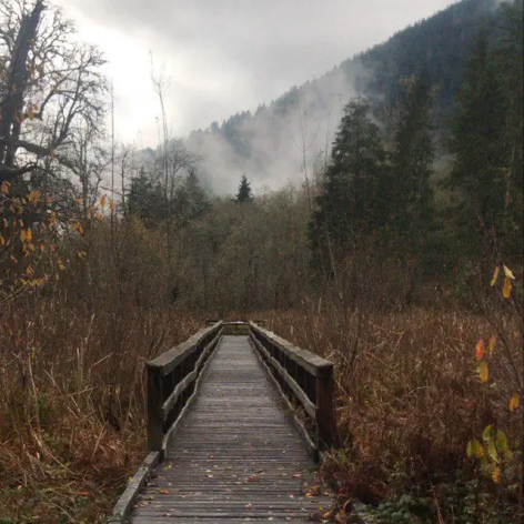 Welches Wildwood Recreation Site
