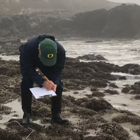 Yachats Cape Perpetua Collaborative Tidepool Tours