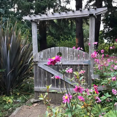 Yachats Gerdemann Botanic Preserve
