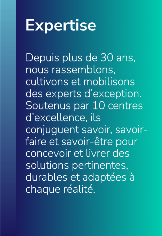 L'ingéniosité numérique de COFOMO | Expertise