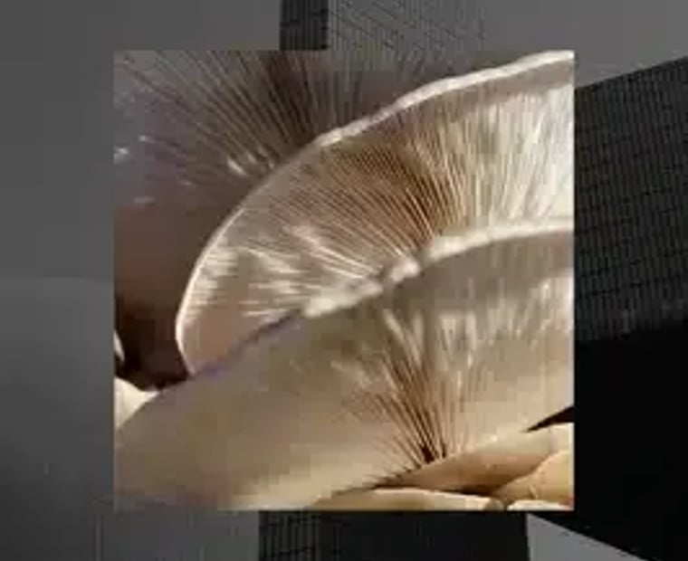 Illustration de l’infonuagique mettant en avant son élégance et sa facilité d’utilisation avec AWS