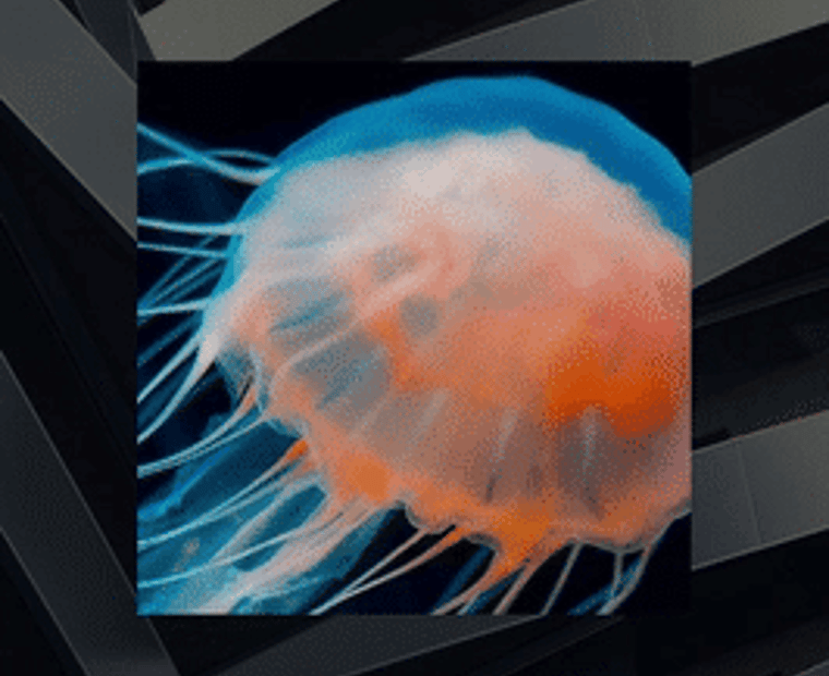 Visuel représentant la co-innovation grâce à la collaboration entre l’humain et la machine