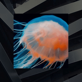 Visuel représentant la co-innovation grâce à la collaboration entre l’humain et la machine