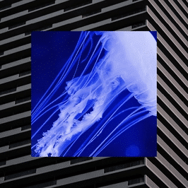 Illustration montrant la portée étendue de l’intelligence artificielle