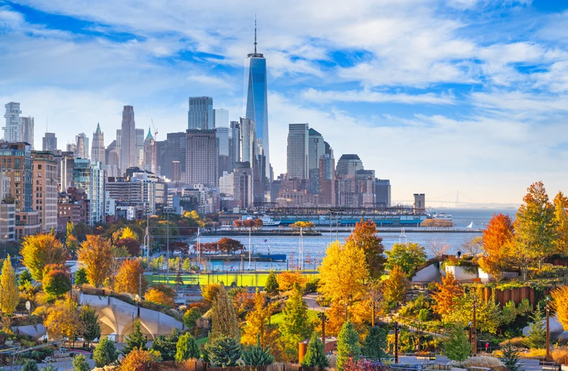 Manhattan Downtown View