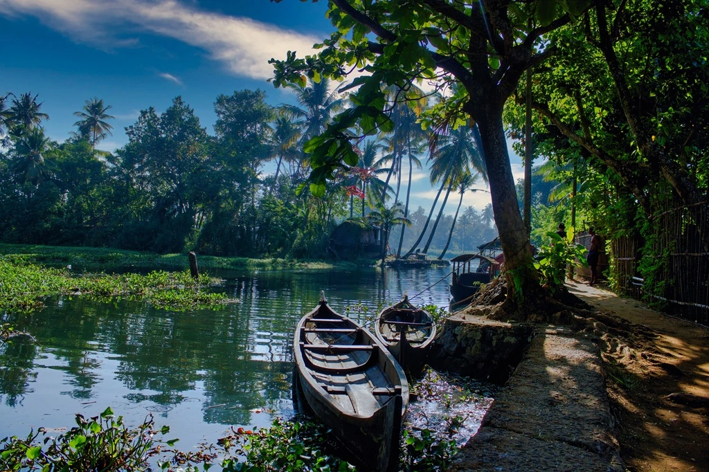 South India Journeys