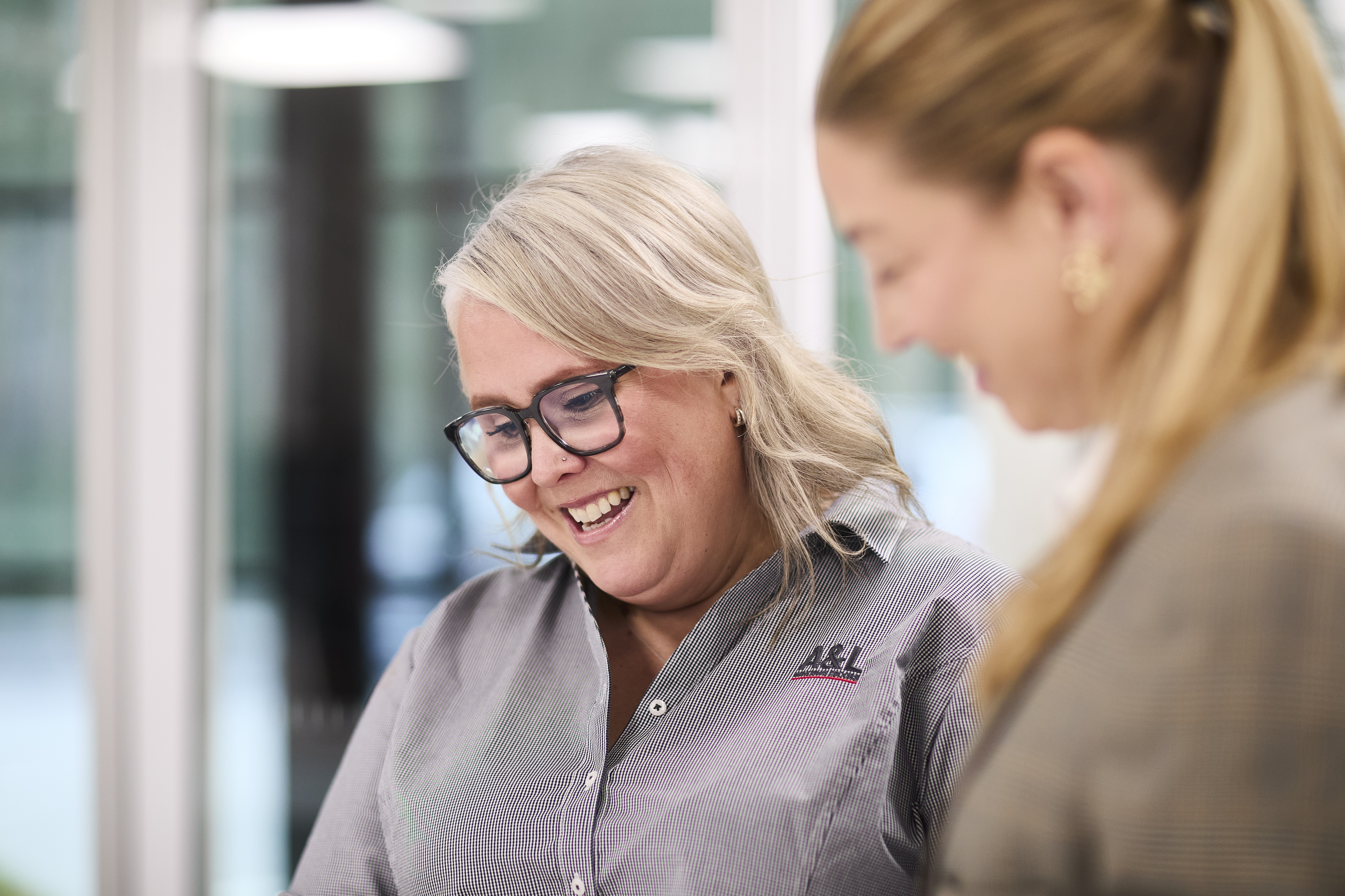 AL Windows Doors 25 06 01 0259 1