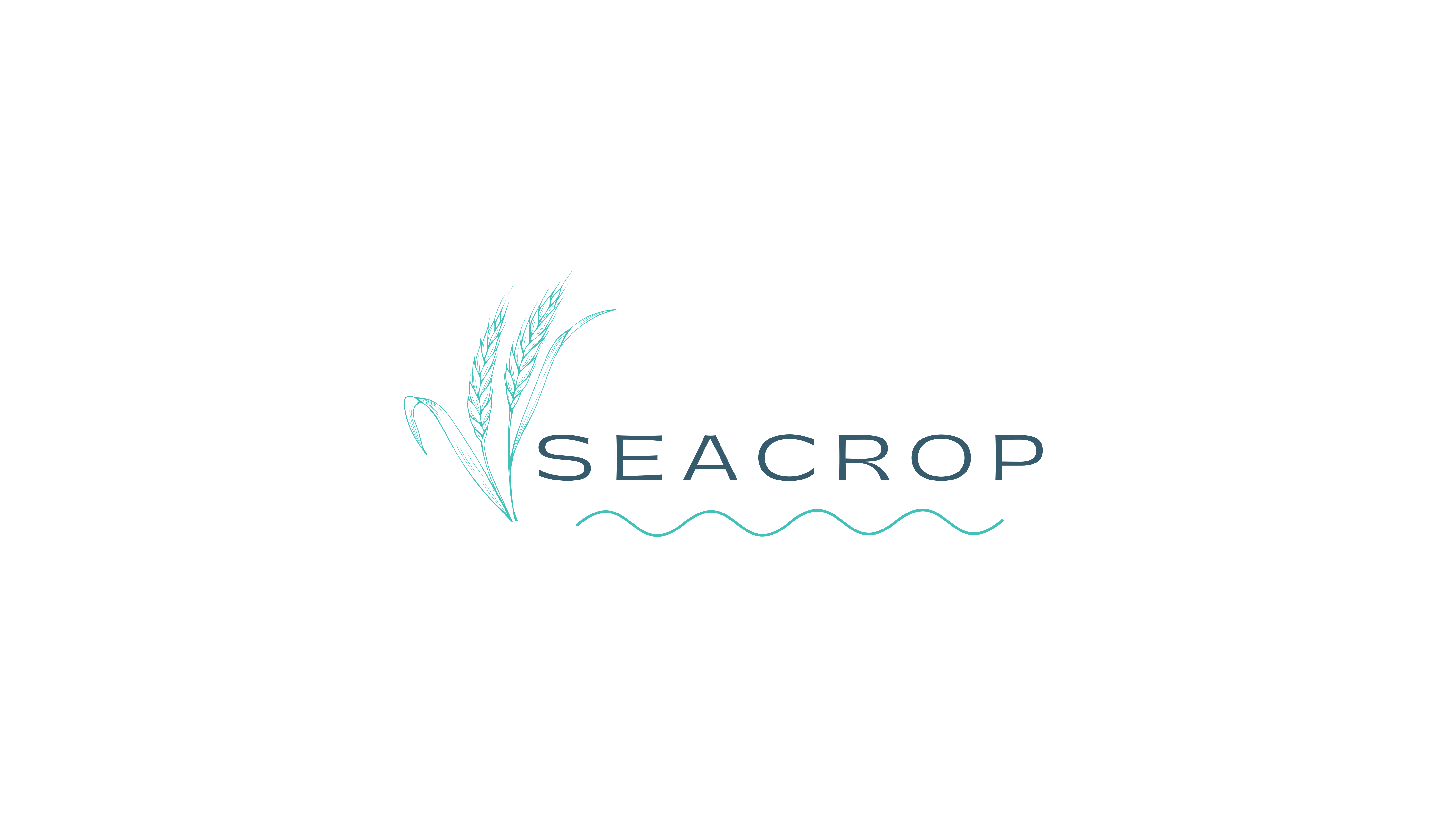 Seacrop no back