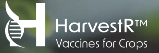 Harvest R FAN25 Waw
