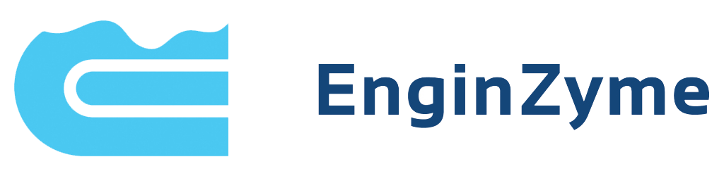 Engin Zyme Logo png