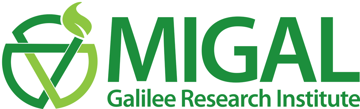 Migal Galilee Logo English