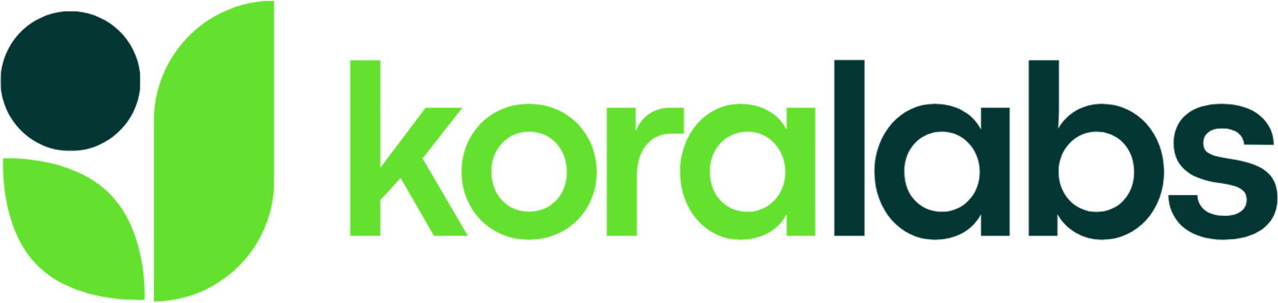 Kora Labs Logo NEW