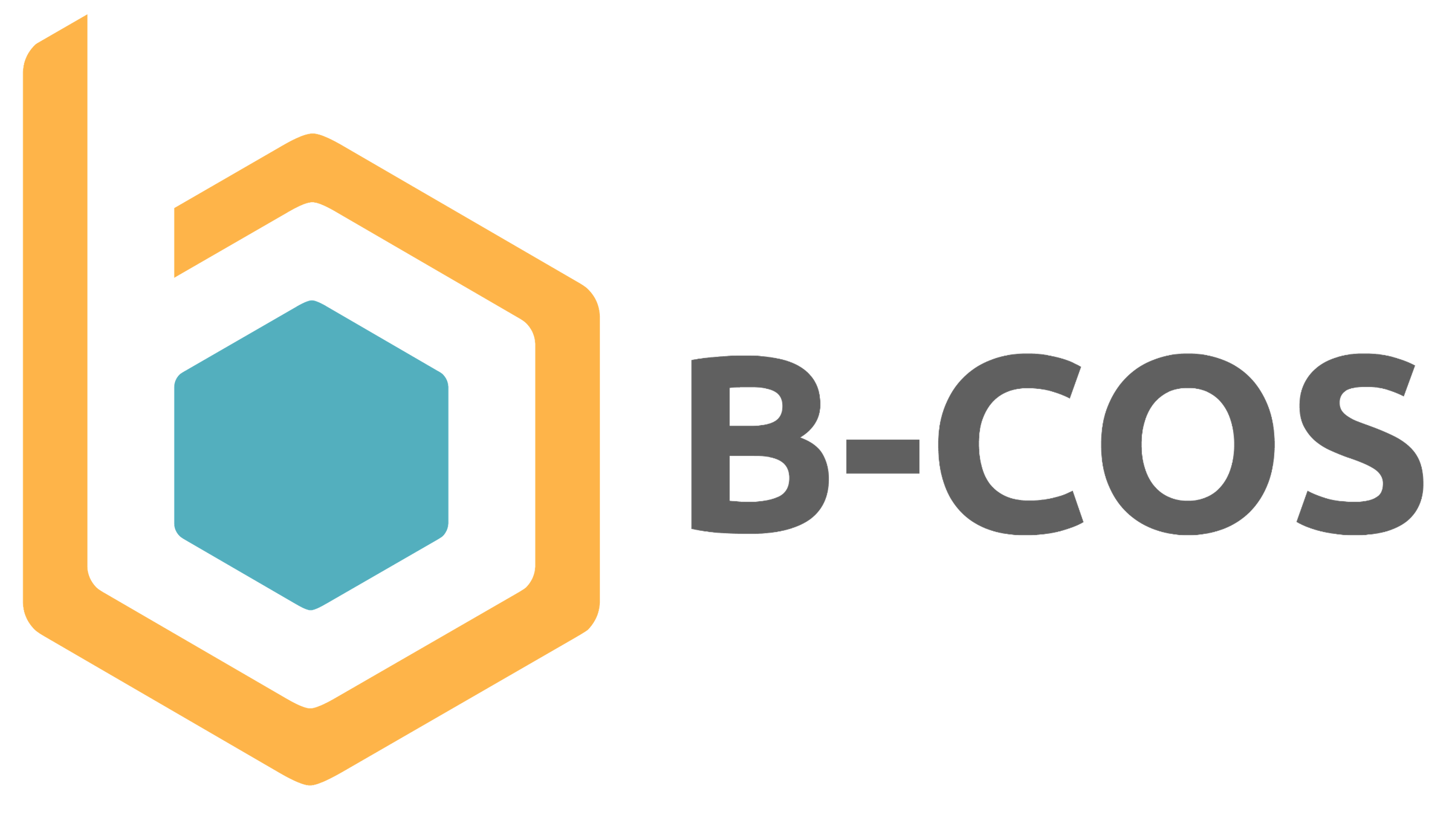Logo B COS