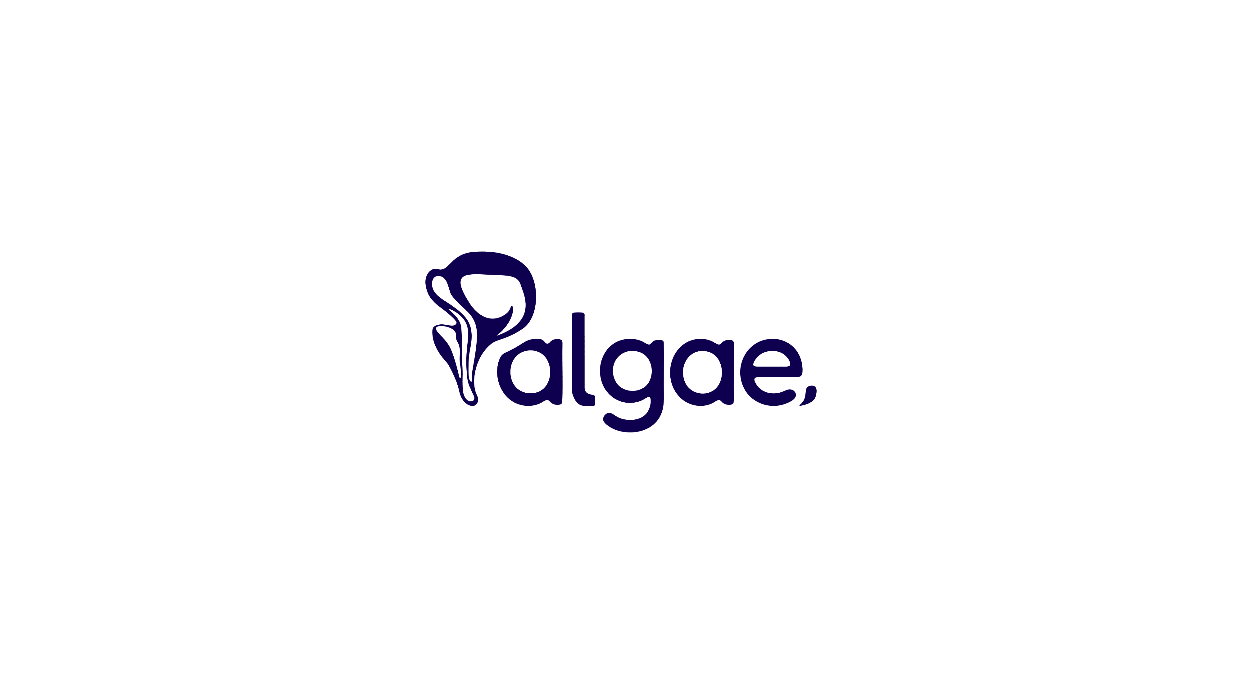 Palgae NEW 3