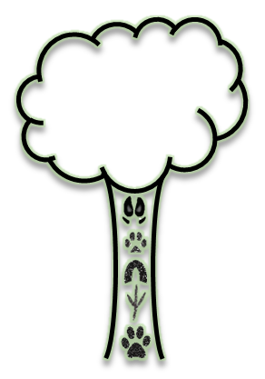 Play Wel Logo