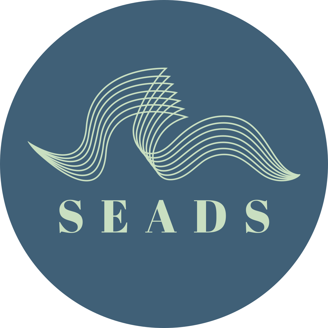 Seads Logo 1 2