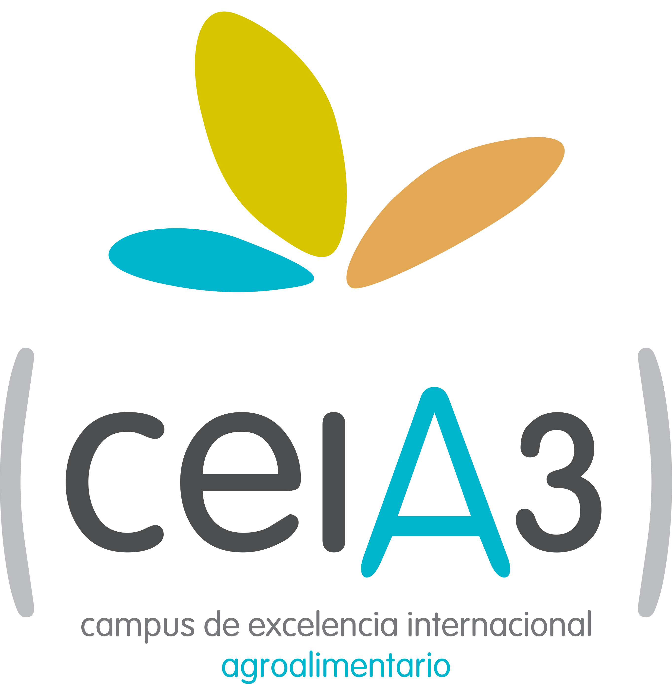 Cei A3 Logo