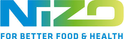 Nizo