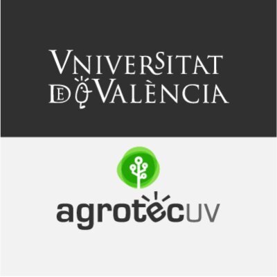 Universitat