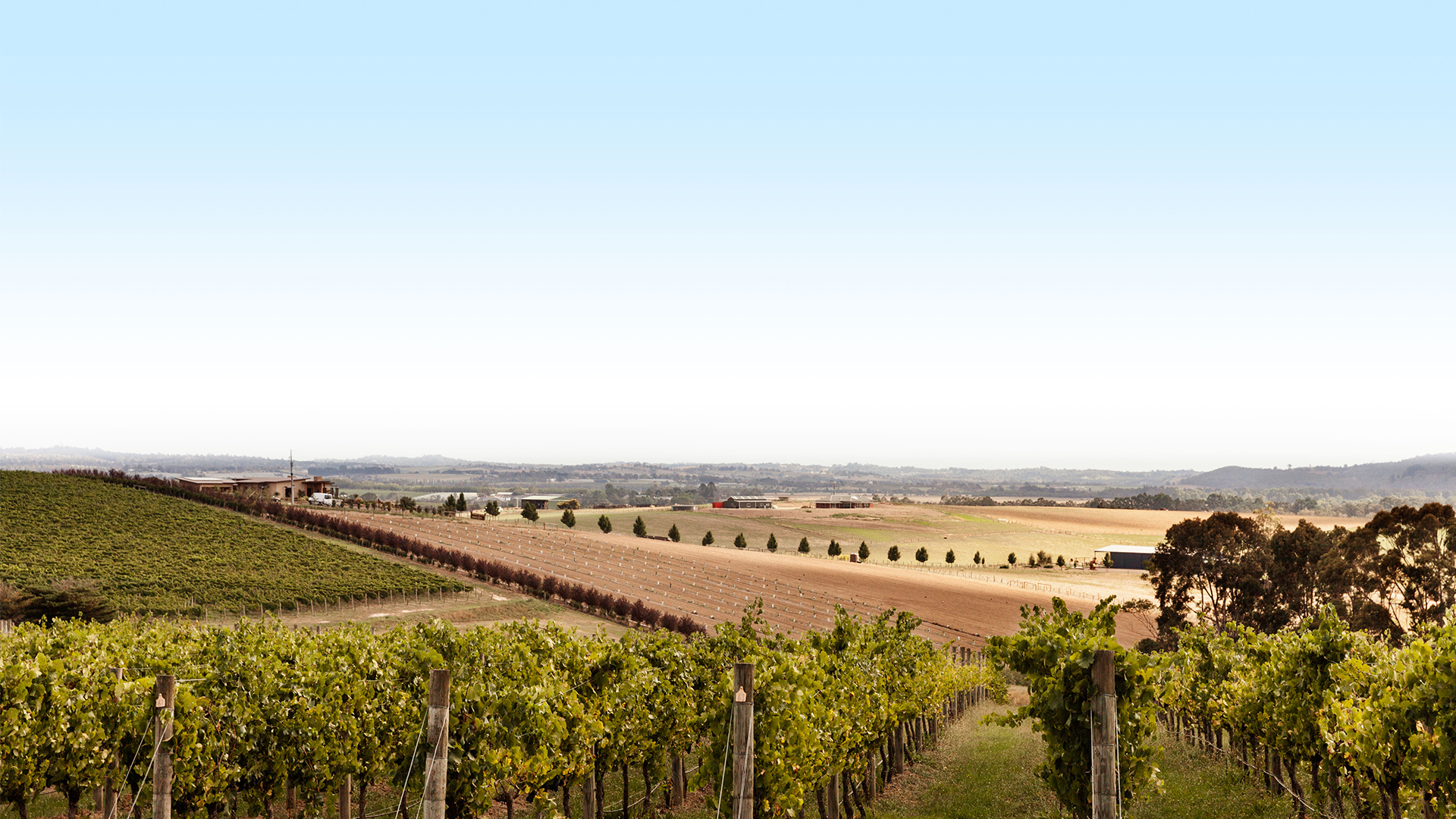 1920x1080 0012 Lendlease Aurora 02