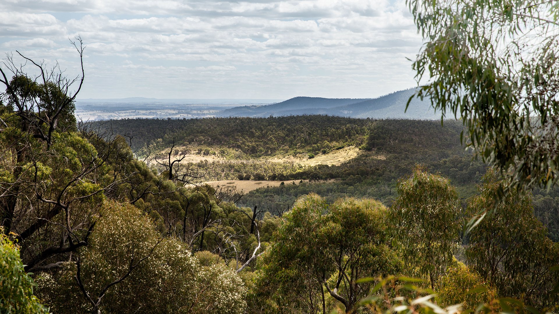 1920x1080 0013 Lendlease Aurora 01